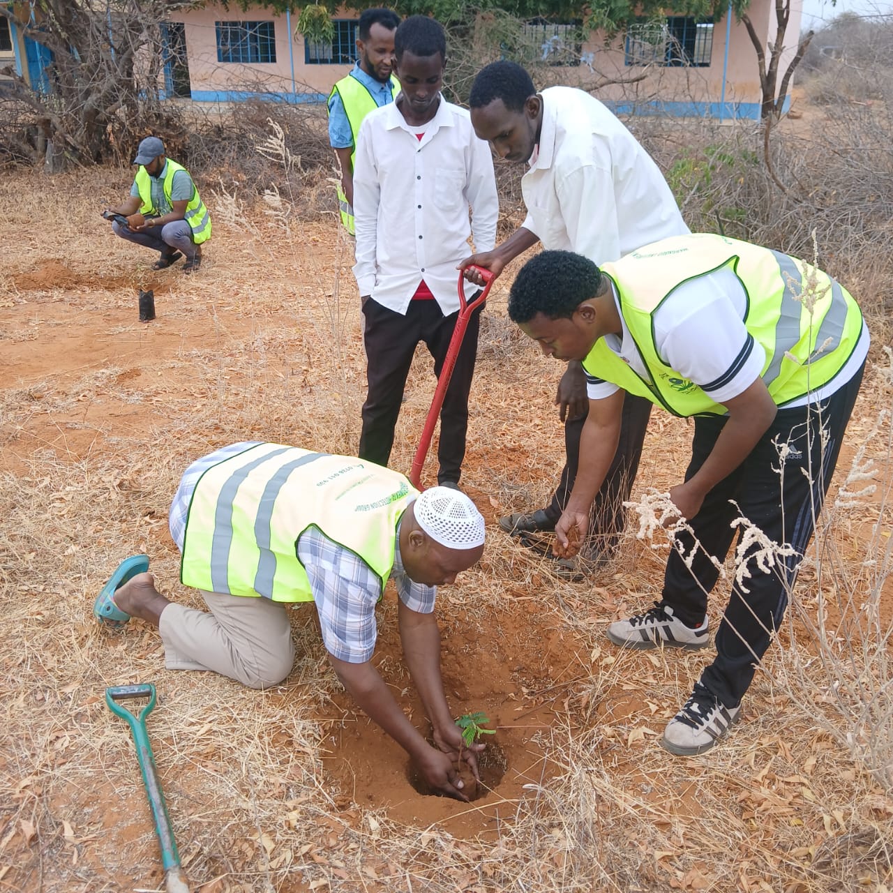 Wargadud Mix Secondary School principal Planting a Trees