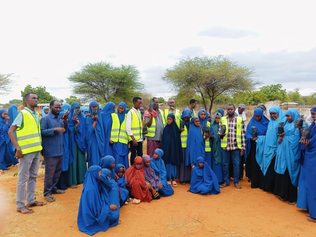 Planting trees at Wargadud Primary School during the Mazingira Day